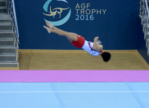 Bakıda idman gimnastikası üzrə Dünya Kubokunda ilk qaliblərin mükafatlandırma mərasimi keçirilib. Azərbaycan, 21 fevral, 2016